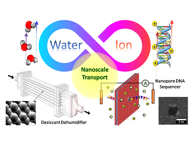 ナノ空間内での水分子、イオン、生体分子の輸送現象