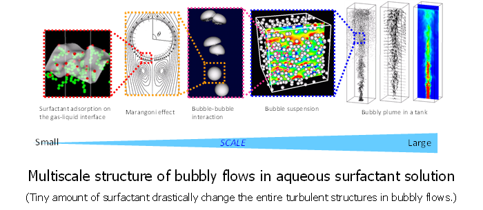 Multiscale phenomena in Fluid Mechanics Ex.  Bubbly Flow Turbulence