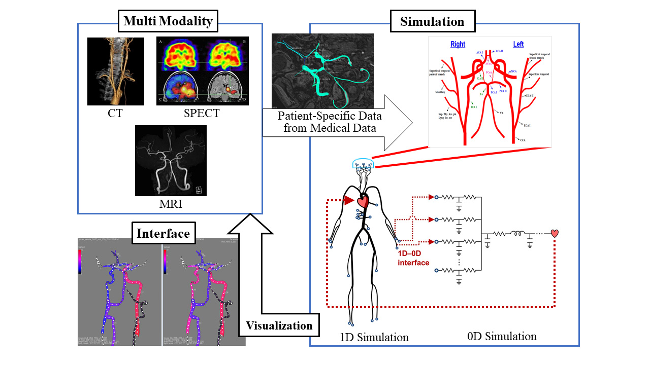 Preoperative and postoperative prediction and visualization system of cerebrovascular network blood flow distribution using multi-scale systemic circulation simulation