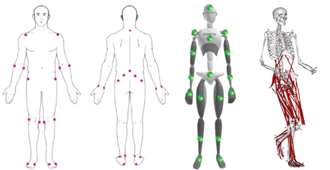 Human body kinematics from motion capture and IMUs sensors